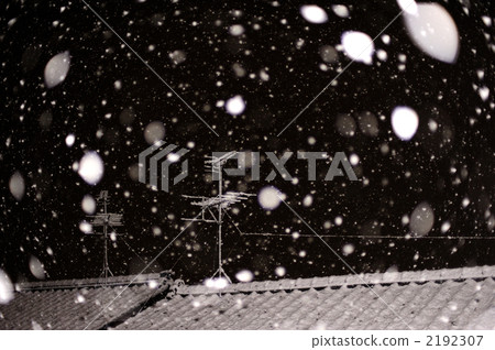 雪落的夜晚 2192307