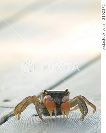 Akanegan Akanegan 2192372