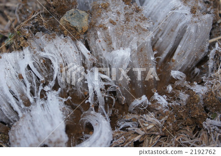 Simovassilla Simovassilla 2192762