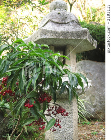 A winter garden 2193115