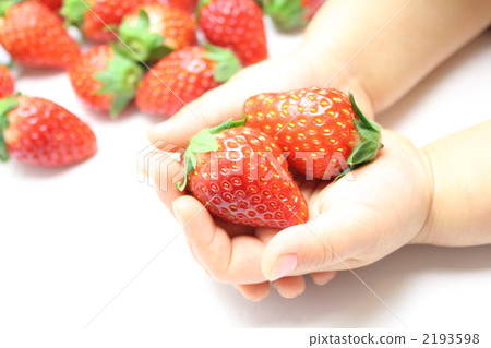 草莓一起處女座 2193598