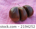 Chestnut  2194252