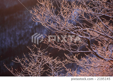 在早晨的陽光下染色的干冰 在早晨的陽光下染色的干冰 2195145