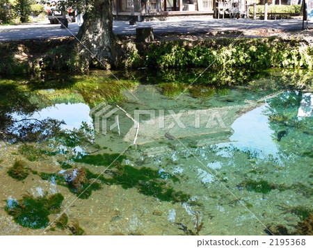 Oshino Hakkai's Battery Oshino Hakkai's Battery 2195368