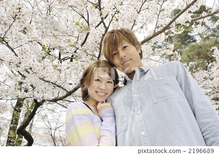 A young couple under the cherry tree - Stock Photo [2196689] - PIXTA