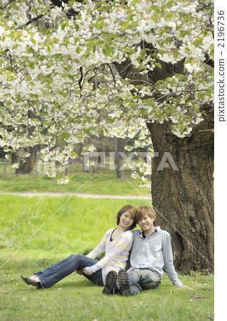 A young couple under the cherry tree A young couple under the cherry tree 2196736