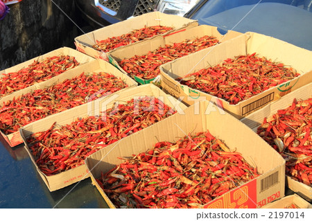 Sun dried sun pepper Bangkok Thailand 2197014