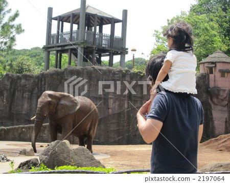 陸生動物 大象 動物園 2197064