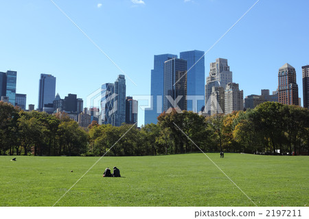中央公園，綿羊草甸 2197211