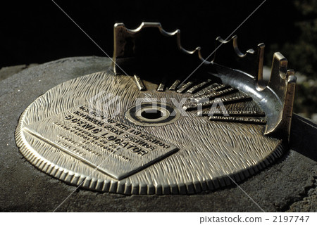 81487 Grand Canyon National Park Arizona 81487 Grand Canyon National Park Arizona 2197747