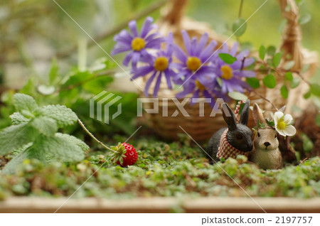 Rabbit in the forest 2197757