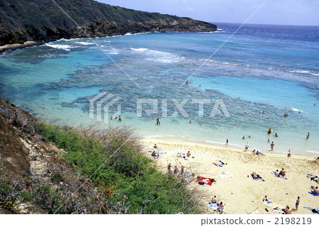 81877 Hanaumabay Oahu Hawaii 81877 Hanaumabay Oahu Hawaii 2198219