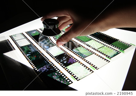 Watch reversal film in lightbox 2198945