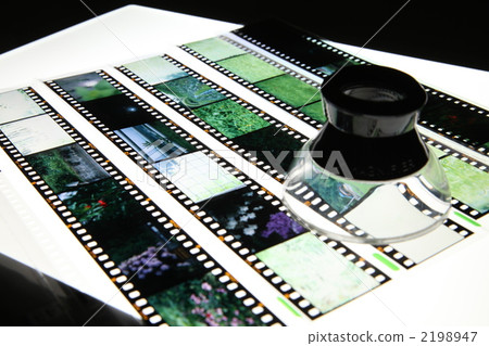 Watch reversal film in lightbox Watch reversal film in lightbox 2198947