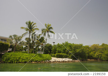 Resort in Florida 2199150