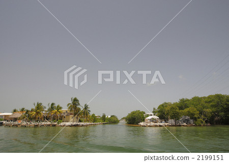 Resort in Florida 2199151