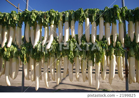 白蘿蔔幹 蔬菜 蘿蔔 2199825