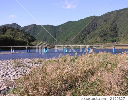 四萬十川 洪水期間連通淹沒的地方 銀草頭 2199827