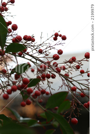 南方的天空 南方的天空 2199979