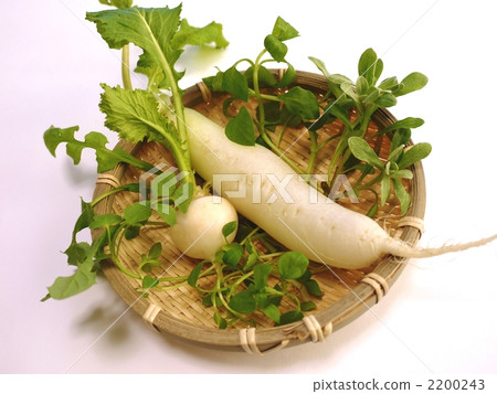 Seven herbs of spring 2200243