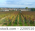勃艮第葡萄酒領域 2200510