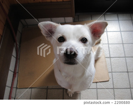 Do not throw it away. 2200880