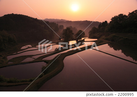 松下的水稻梯田 2200995