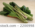 Green vegetables 2200998
