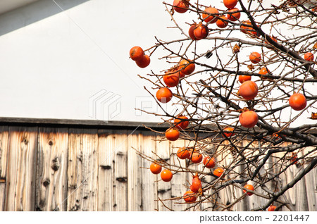 清酒和柿子 2201447