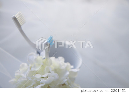 tooth brush, bath, bathroom 2201451