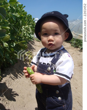 嬰兒 寶寶 寶貝 2201452