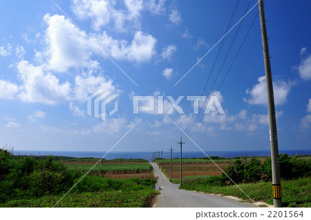 Hateruma的一條路 Hateruma的一條路 2201564