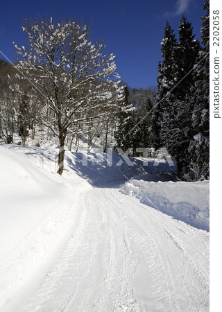 Winter landscape, winter scenery, forest road 2202058