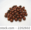 Tianjin Chestnut 2202602