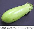Eggplant 2202678