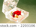 Rose and crystal case 2203106