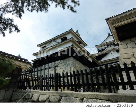 Matsuyama Castle Matsuyama Castle 2203159