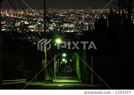 Night slope of Koyoan Garden 2203557