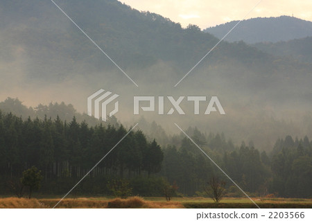 長浜山在早晨薄霧包裹了 2203566