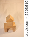 Building Block House 2203610