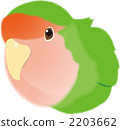 agapornis lilianae, lilian's lovebird, parakeet 2203662