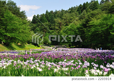 Fogokino Park Fogokino Park 2203914