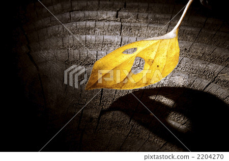 Light and shadow Light and shadow 2204270