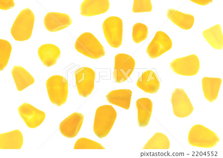 corn  2204552