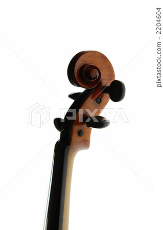 Violin Violin 2204604