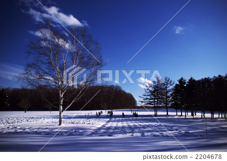 The sheep of a superb view is a hill 2204678