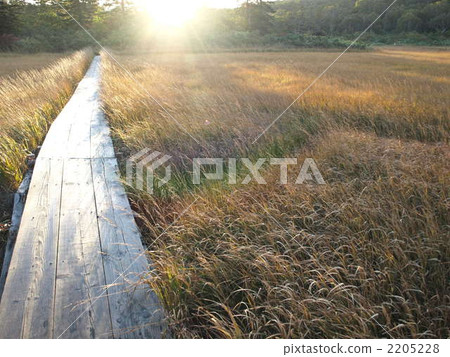 Shooting Niseko Shinsenumuma late autumn Asahi Hokkaido. 2205228
