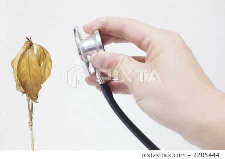 婦女的手用聽診器 婦女的手用聽診器 2205444