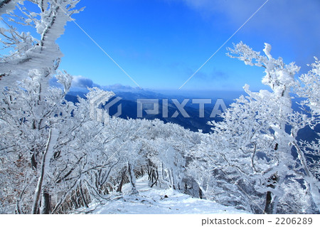 Tree-mountain ice Tree-mountain ice 2206289