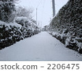 snow scene, landscape, scape 2206475